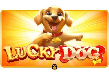 bdg game - এর লক্ষ্য ও মিশন — বাংলাদেশি খেলোয়াড়দের জন্য